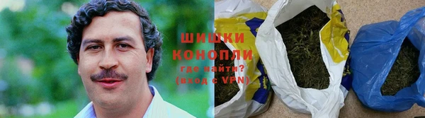 дмт Новокубанск