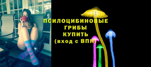дживик Нефтекумск