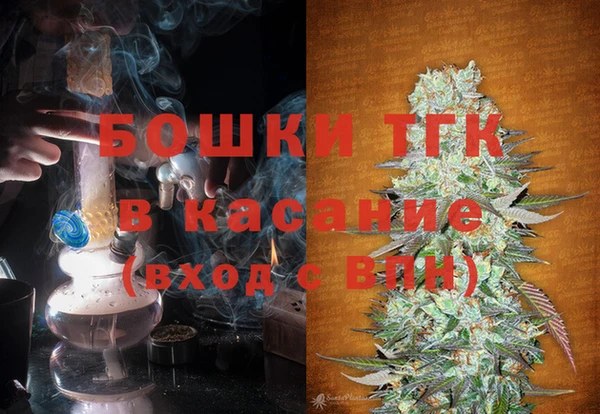 соль ск Новозыбков