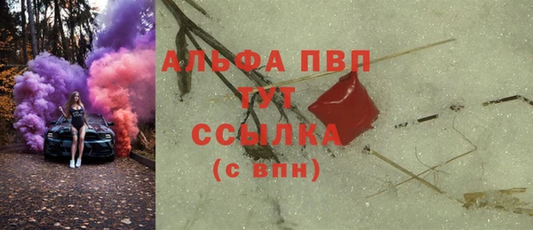 соль ск Новозыбков