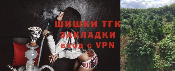 соль ск Новозыбков