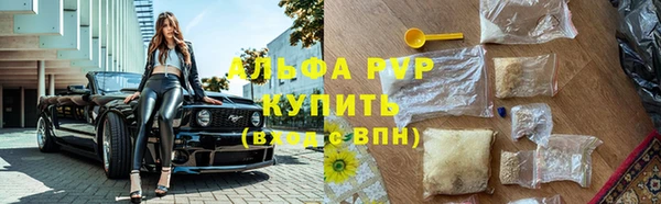 соль ск Новозыбков