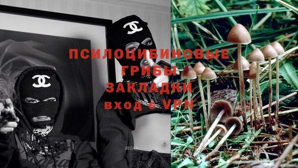 дживик Нефтекумск